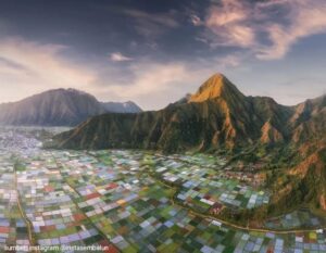 Mau ke Sembalun? Ini Trasnportasi yang Bisa Kamu Gunakan Dari Bandara Lombok