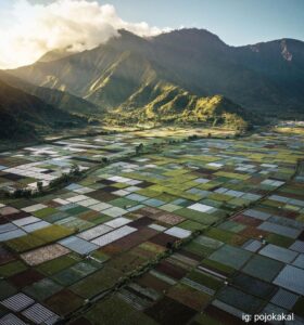 Melupakan Kepenatan dengan Keindahan Alam Pusuk Sembalun: Liburan yang Menenangkan Hati dan Pikiran