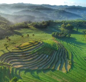 Desa Mareje di Lombok: Temukan Pesona Pedesaan yang Mirip dengan Ubud Bali
